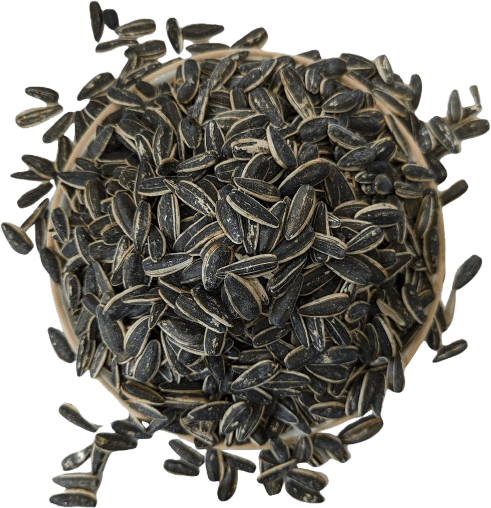 تخمه کدو خام
