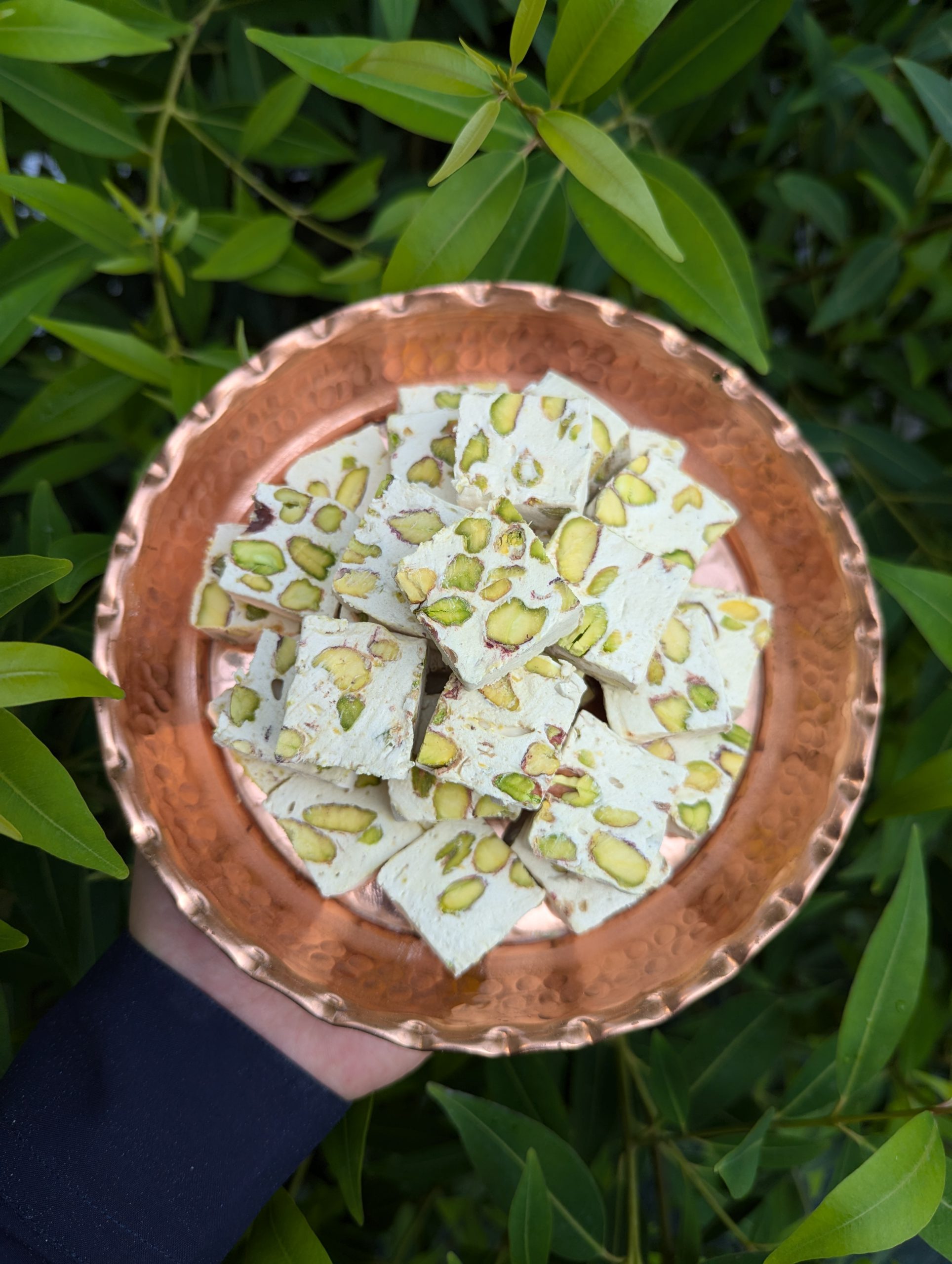 گز 42% مغز پسته